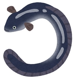 fish_unagi2 fish_unagi2