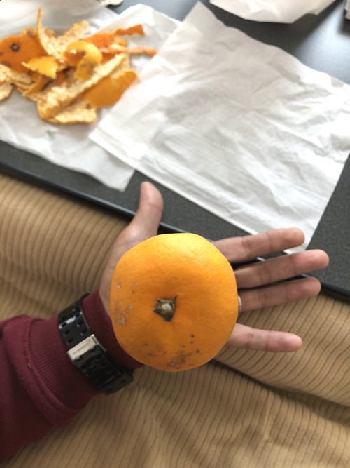 20181110.1.05 20181110.1.05