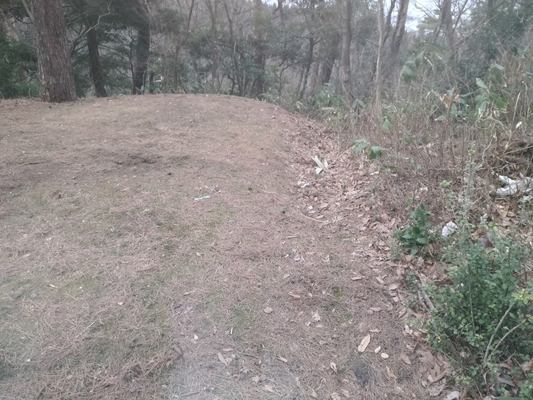 20190312.2.40 20190312.2.40