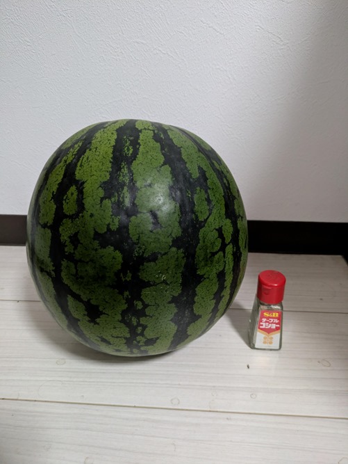 ZtOPbx9