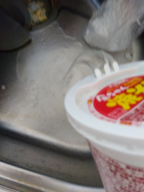 fd9dd313Ll fd9dd313Ll