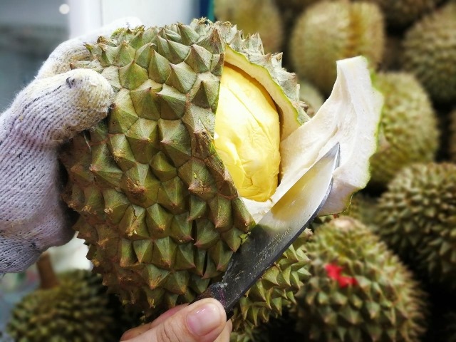 26837900_s 26837900_s