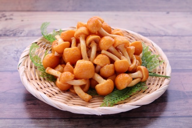 27777087_s 27777087_s