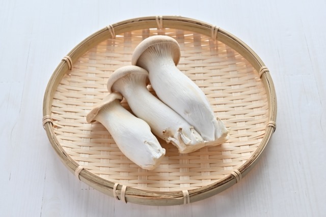 32713061_s 32713061_s