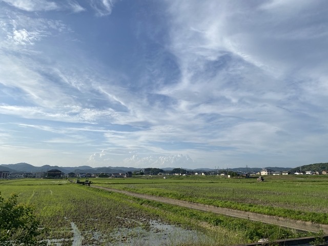 5a392815iV 5a392815iV